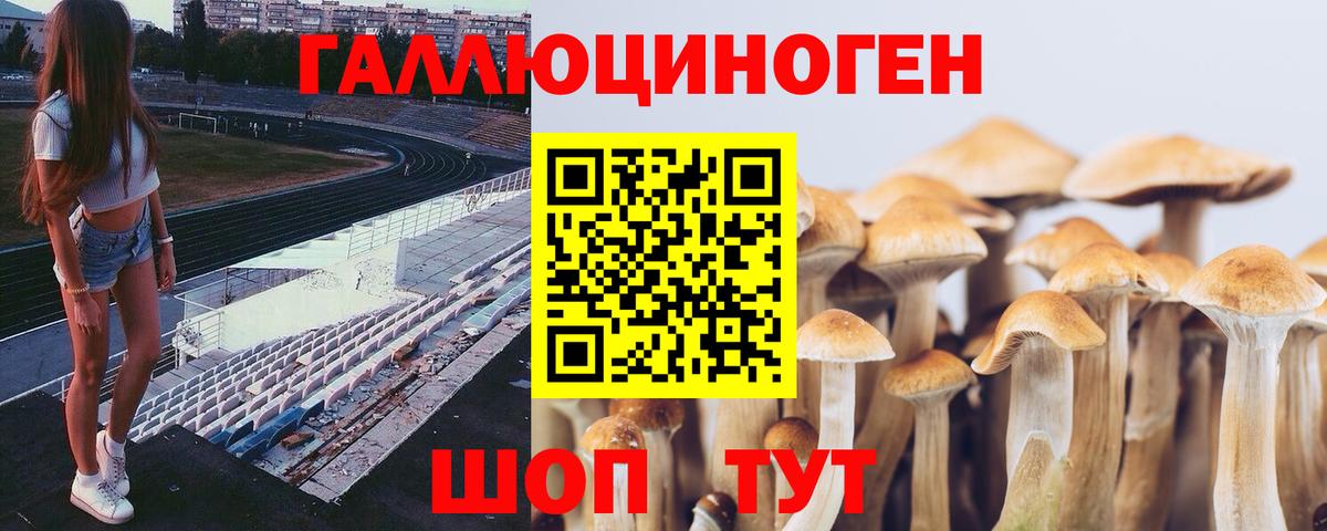 Галлюциногенные грибы ЛСД  купить наркотики цена  Тулун  Псилоцибиновые грибы Magic Shrooms  Вход с VPN 